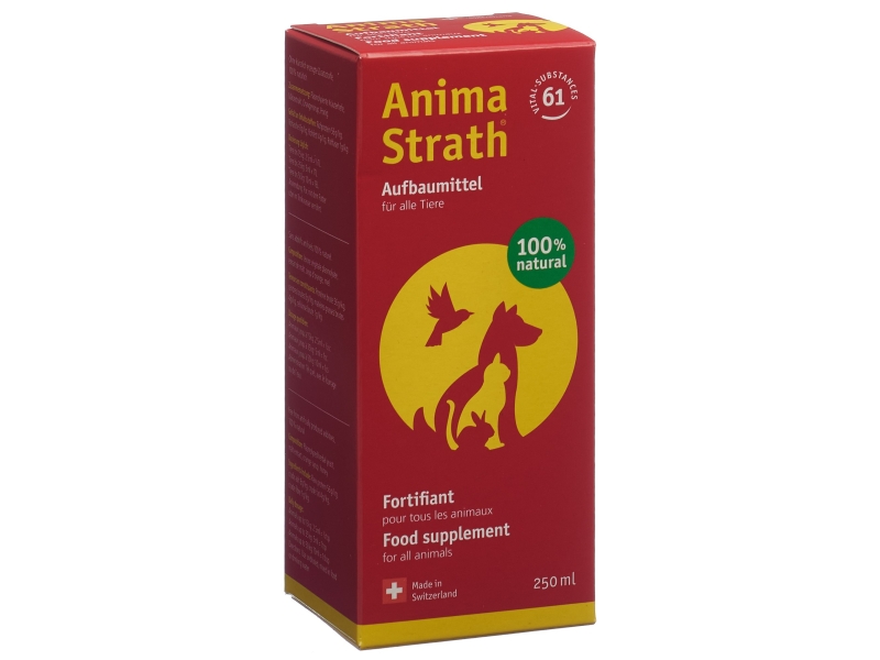Anima Strath Tropfen 250 ml